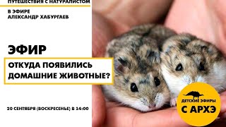Детский эфир "Откуда появились домашние животные? Часть вторая" рубрики "Путешествия с натуралистом"