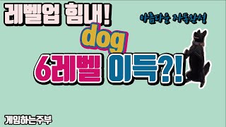 [라이프애프터] 6레벨 와야하는 이유! 6레벨 얼마나 꿀?! 자동완성, 스노우힐 거점전투 공략
