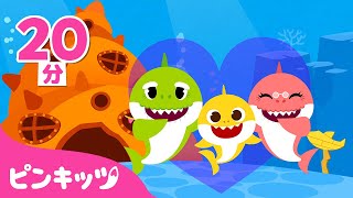 サメかぞく????みんな どこかな？ | サメのかぞく | ちびザメとうたおう | ベイビーシャーク | 子どもの歌 | ピンキッツ! 童謡と子どもの動画