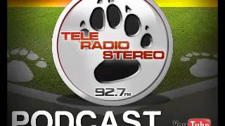 PODCAST 04.03.2014 STEFANO PETRUCCI