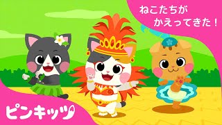 ダンスダンス！かわいい????ねこたちとおどろう！ | コトモニャンズと　おどろう！| せかいのうた | 子供の歌 | ねこのかぞく | 人気童謡 | ピンキッツ！
