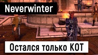 [Neverwinter World] Остался только КОТ ?
