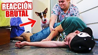 Fingiendo mi MUERTE delante de mi PERRO! ? ¡REACCIÓN BRUTAL!