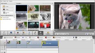 14 DVD меню в AVS Video Editor