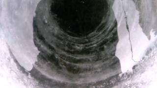 Ice Fish Baby - Nomads Fishing Club