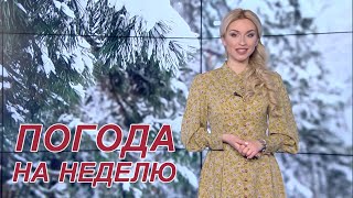 Крещенские морозы будут лютыми? / Прогноз погоды с 18 по 24 января 2021. Погода на неделю