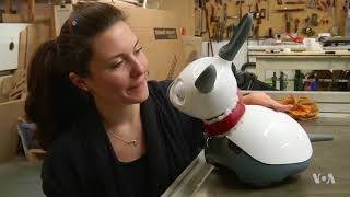 What’s Next in the Robotics Industry?