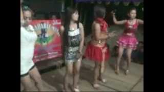 Orgen Tunggal Sahabat Live Music Nonstop di Pematang Bina Tani