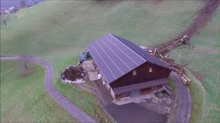 Reform Muli Winter 2017 2018 Holzen Farming in Switzerland