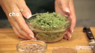 Chocolate Kale Shake, by Standard Process