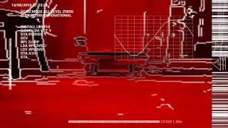 Terminator vision FPV robot