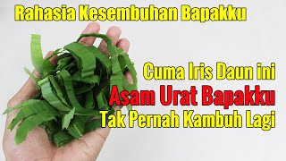 ANDA YANG PERTAMA TAHU INI... ASAM URAT ATAU NYERI AKIBAT ASAM URAT SEMBUH SECARA ALAMI