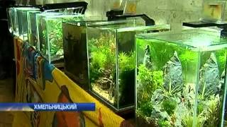 В Хмельницком аквадизайнеры создавали подводные пей...