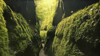 Morning Relaxing Music - Positive Feelings and Energy - Dragon Canyon |97B