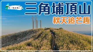 三角埔頂山交通指南，搭公車賞茫趣 #三角埔頂山