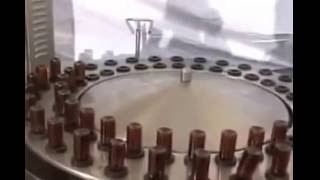 Semi Automatic Rotary Rinser