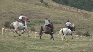 Tropote in Tara Vinului | Proba de viteza viteza, calarie  17 sept 2017