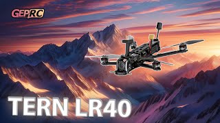 Свежий 4 дюймовый дрон, новинка или обновление? [GEPRC Tern-LR40]