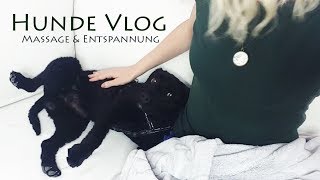 ASMR Massage & Entspannung ♥ Leben wie Pep Guardiola (Hunde Vlog, Flüstern + sanfte Stimme)
