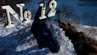 FarCry Primal (прохождение) №12: "Дополнительные задания"