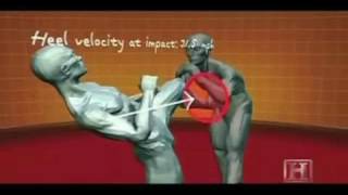 Обучение правильные удары ногами руками комбинации   Pankration, Savate, Tae Kwon Do