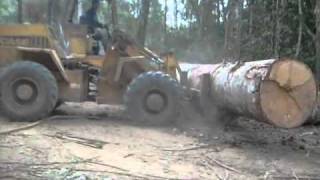 MAQUINA PESADA