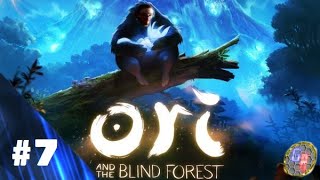 Allumer la lanterne voilée , Ori and the Blind Forest , épisode 7