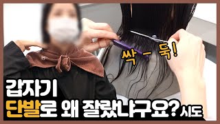 단발로 잘랐습니다. 이유는...