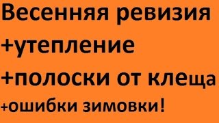 Весенняя ревизия +сокращение+утепление гнезда+полоски! beekeeping