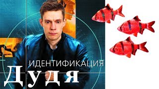 Идентификация Дудя (Большой Мокрый Обзор на Юрика...)