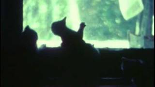 Cats at the Door