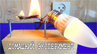 Как "Дерево проводит ток"? Электрический Физический Эксперимент с лампочкой.