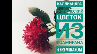 Каллиандра тропический цветок из фоамирана #ereminafom