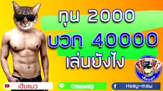 เล่นบาคาร่าทุน 2000 กำไร 40000+ เล่นยังไง