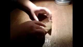 Video 0012