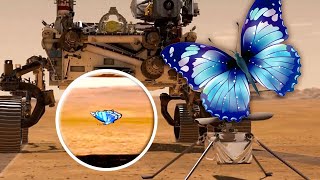 Mariposas marcianas persiguen a Perseverance e ingenuity en Marte - animación