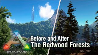 Before and After: The Redwood Forests. ARK: Survival Evolved