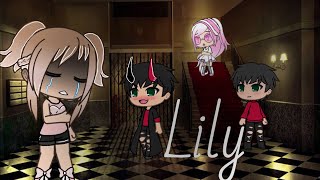 Lily [GLMV]