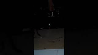 Film semi kucing