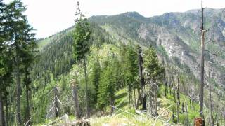 Icicle Ridge