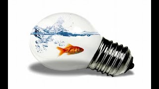 Как сделать вечный Аквариум в лампочке / How to make bulb aquarium | Diy bulb aquarium
