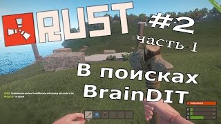 Rust Experimental. В поисках дома BrainDit часть 1. #2