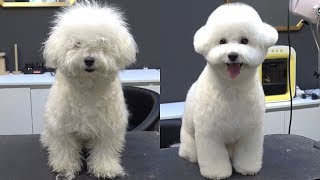 안녕하세요. 슈앤트리 털형외과 입니다.