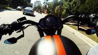 Monday - GoPro chest mount Harley Night Rod Special