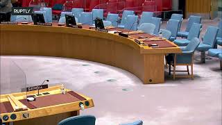 LIVE: UN Security Council convenes to discuss Kosovo