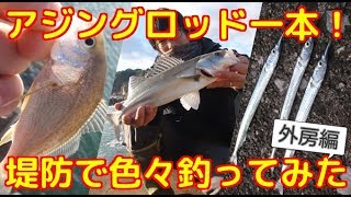 アジングロッド一本持って外房の堤防で色々釣ってみた！イシモチ、シーバス、サヨリ、ヒラツメガニ 　大原港・太東港