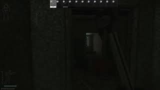 Escape From Tarkov, EFT, рубрика читеры, №2 BT_FeermeenT