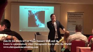 Dr Jor Borio Chiropassion Consulting Thot Flash Science of Chiropractic Communication