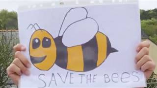Ecole publique de Camors - Save the bees (clip officiel !)