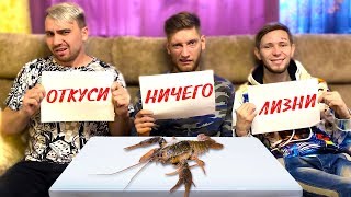 ОТКУСИ, ЛИЗНИ или НИЧЕГО ЧЕЛЛЕНДЖ !